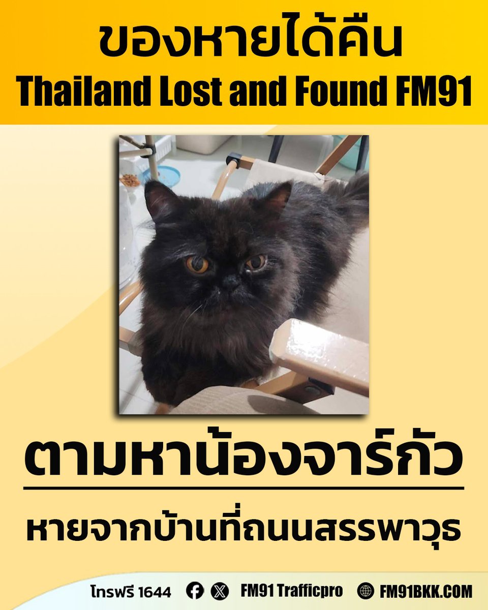 fm91trafficpro's tweet photo. ตามหาน้องจาร์กัว แมวพันธุ์เปอร์เซีย เพศผู้ สีดำ ไม่สวมปลอกคอ มีตำหนิ คือน้องมีติ่งเนื้อที่ตา หายไปวันที่ 10 กุมภาพันธ์ 2569 เวลาประมาณ 09.00 น. ในซอย สรรพาวุธ 1 แยก 2 ข้างตลาดสี่แยกบางนา ผู้ใดพบเห็น หรือ น้องไปอาศัยอยู่ หากพาน้องส่งคืนเจ้าของได้ มีสินน้ำใจให้ 1,000 บาท 

พบเห็นติดต่อกลับที่หมายเลขโทรฟรี 1644 สวพ.FM91 ได้ตลอด 24 ชั่วโมง 
#ของหายได้คืน #thailandlostandfound #โทร1644 #FM91