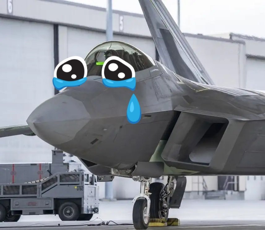 SHARKY 🌟🦎 tweet media