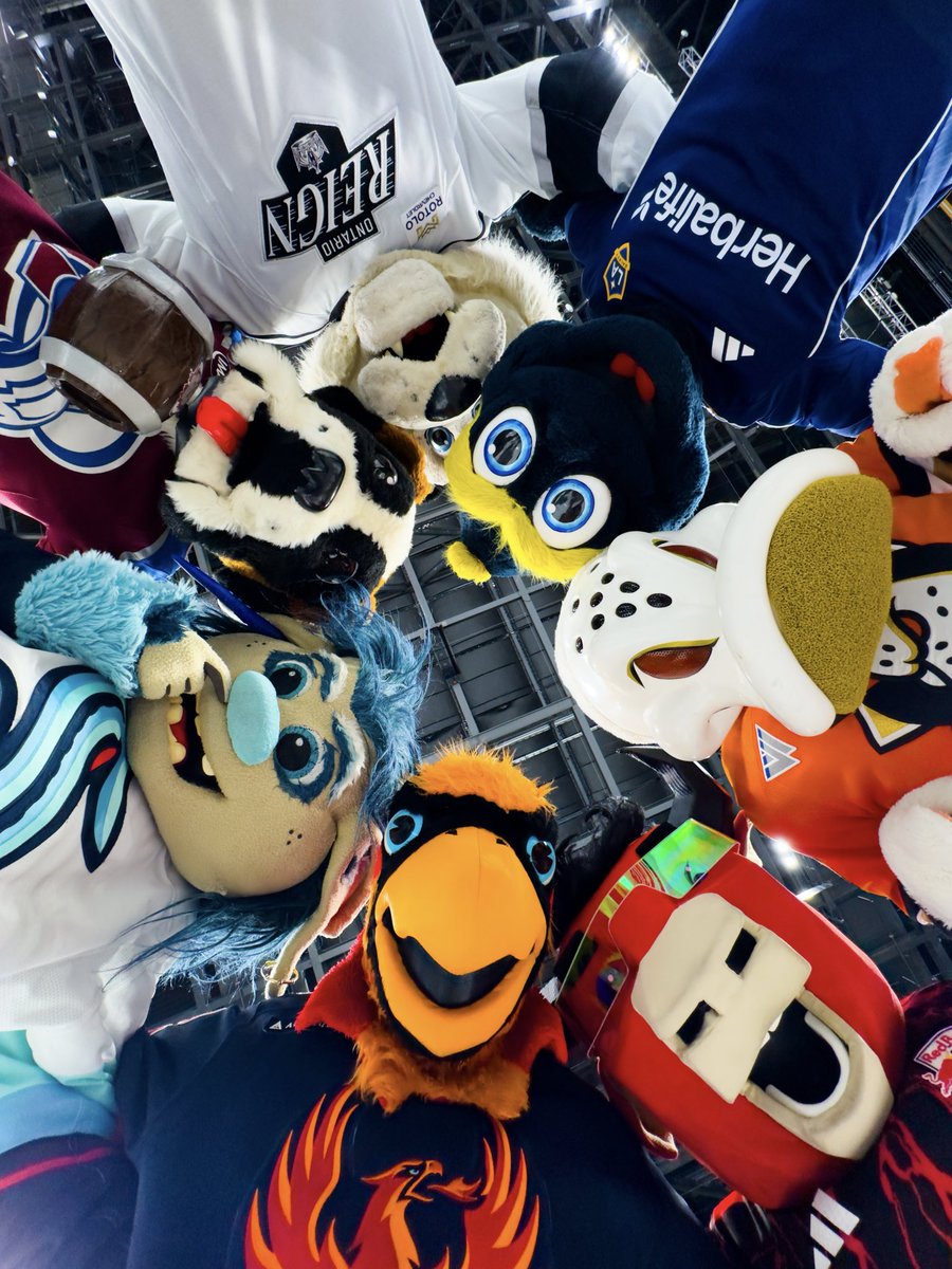 Fuego 🔥 tweet media