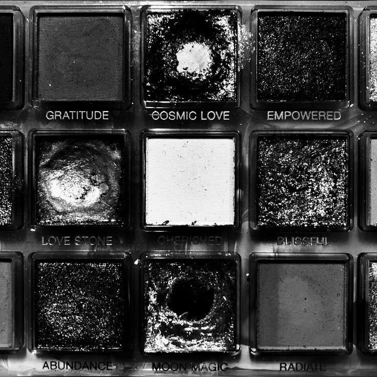 𝐄𝐯𝐢𝐞. tweet media