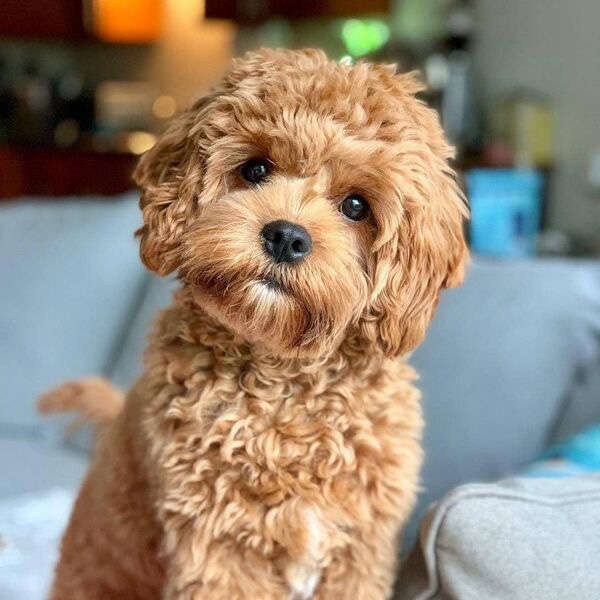 Lex 💪🏼 🧑🏼‍💻 tweet media