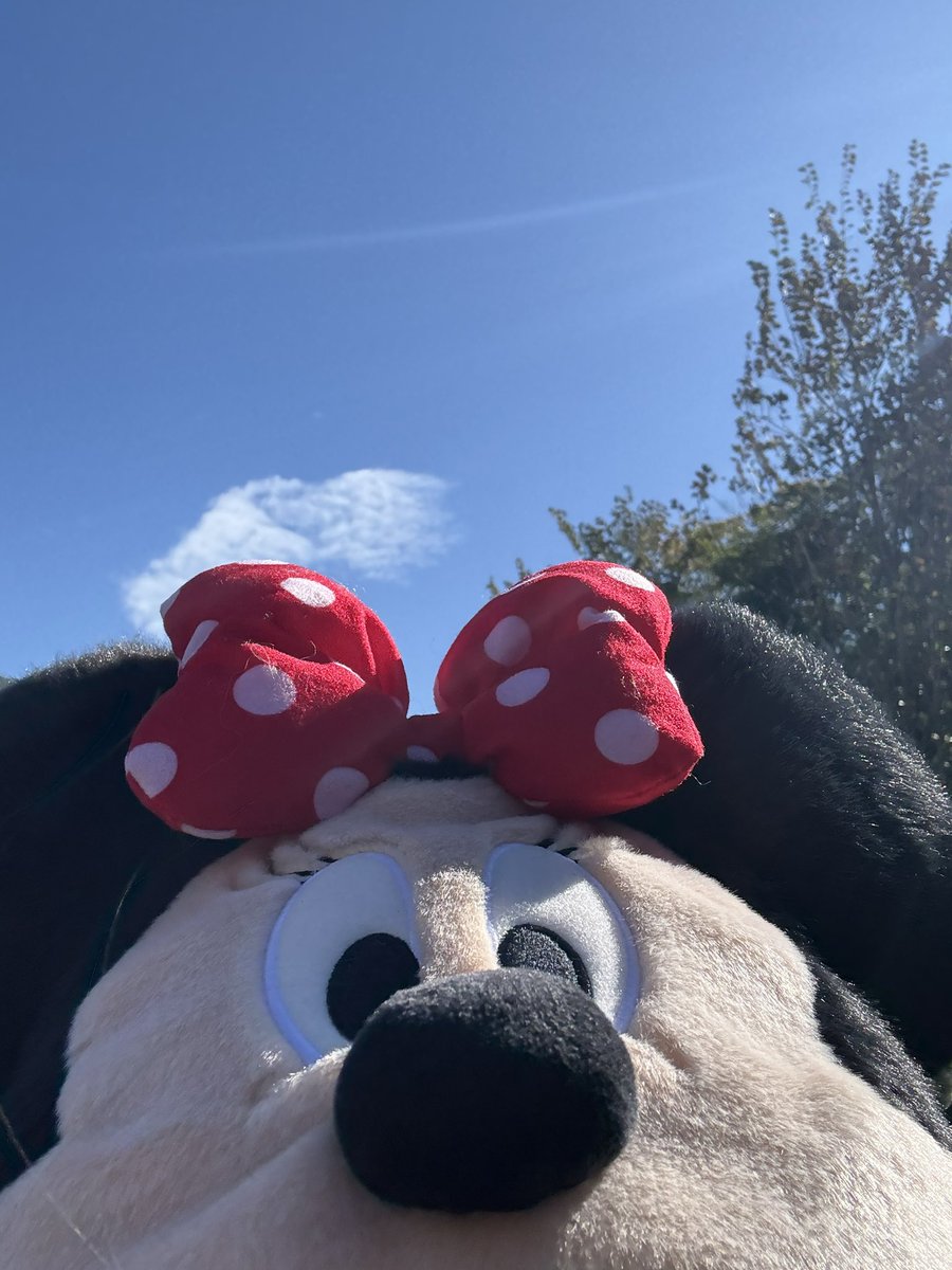 doll____llob's tweet photo. Disneyきたぞー！ https://t.co/IRFWiEQwz9