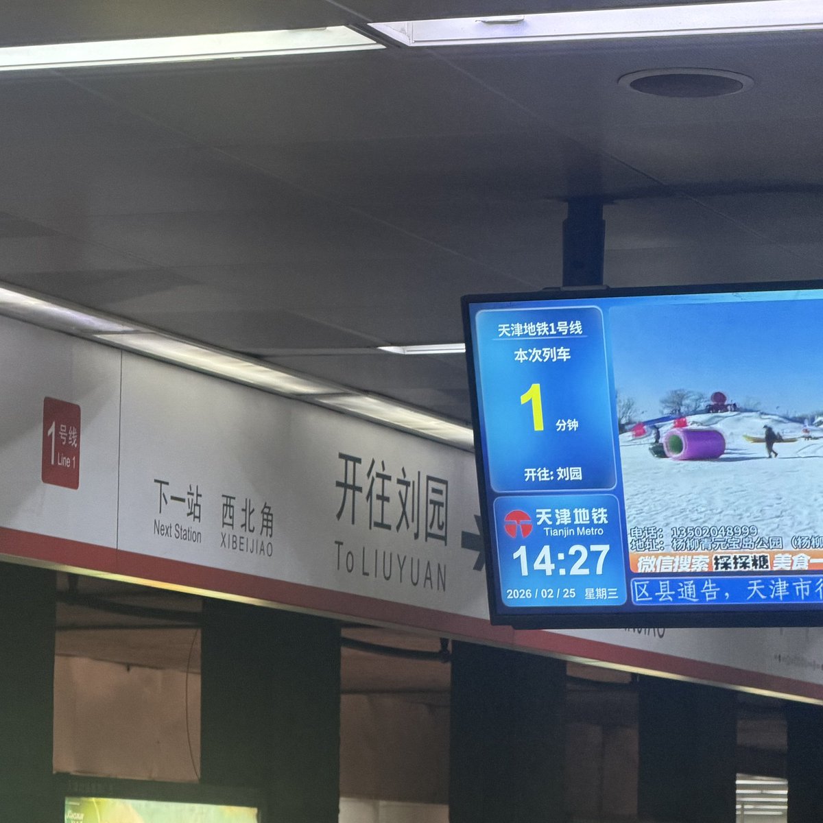 冀X95后夫妻 tweet media