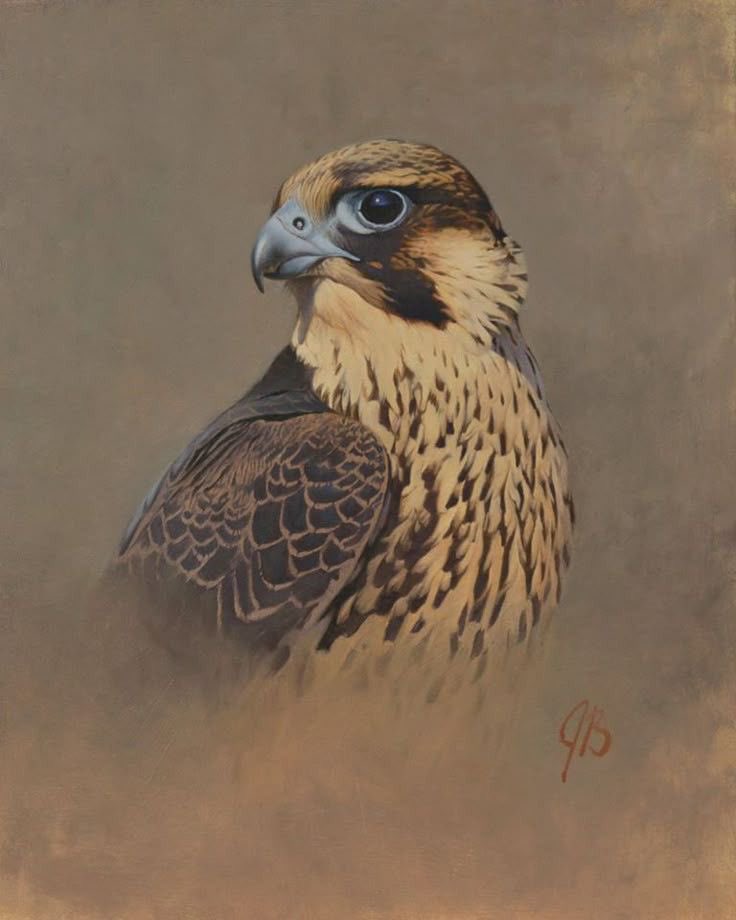 سداح العتيبي tweet media