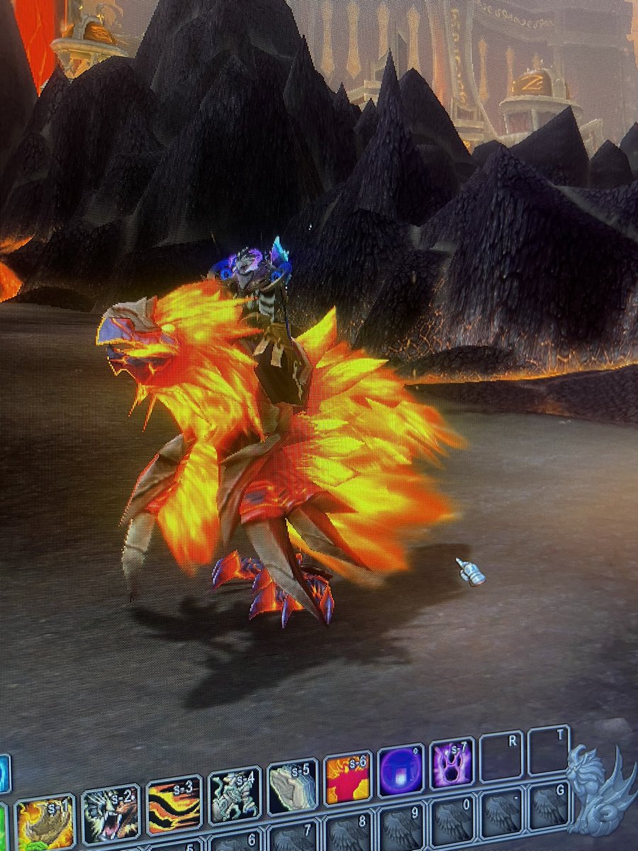 🍄Carnomiu🍄 tweet media