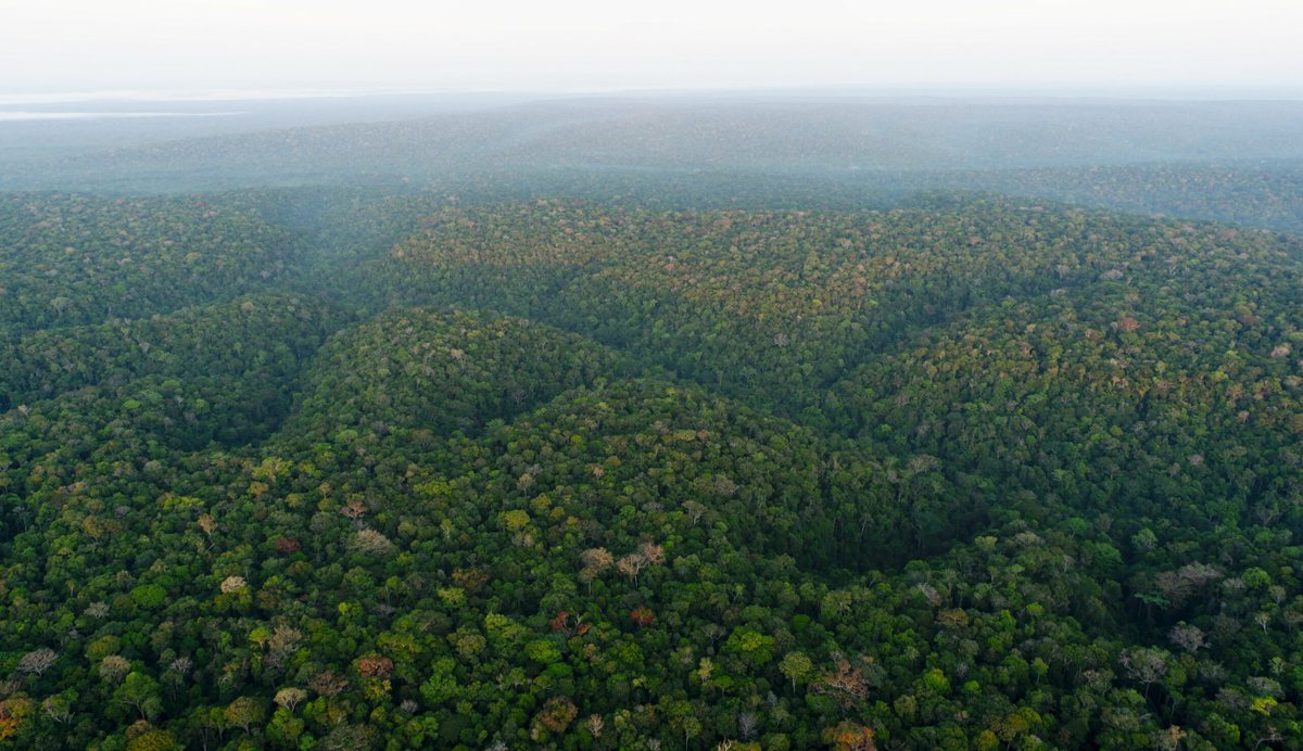 All day Astronomy tweet media