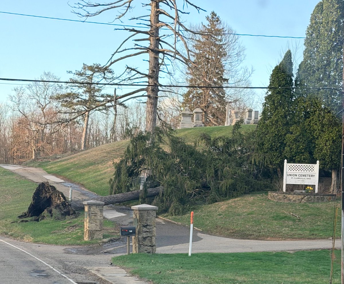 Dylan Cleland tweet media