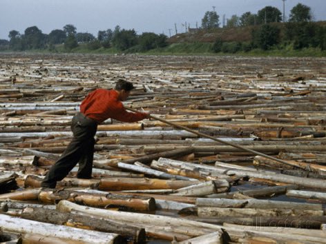 Jed Drenning tweet media