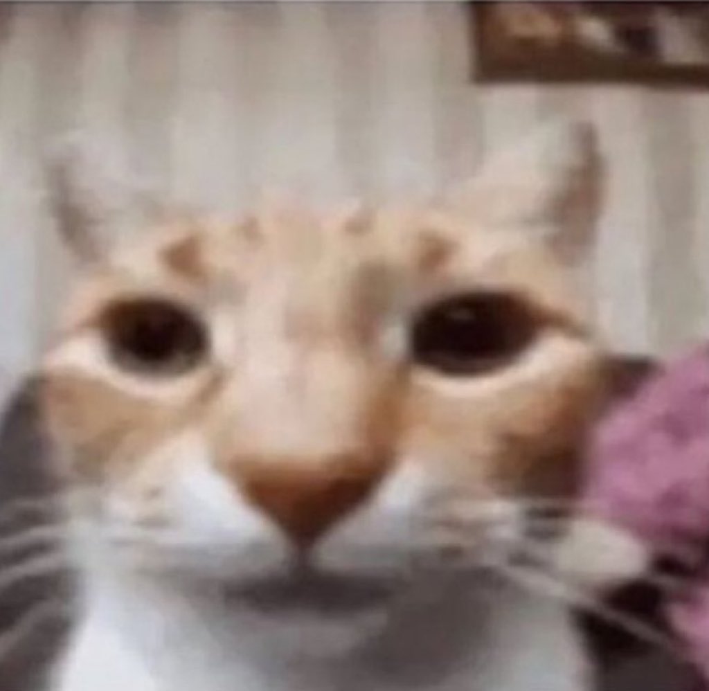 Mat Pines tweet media