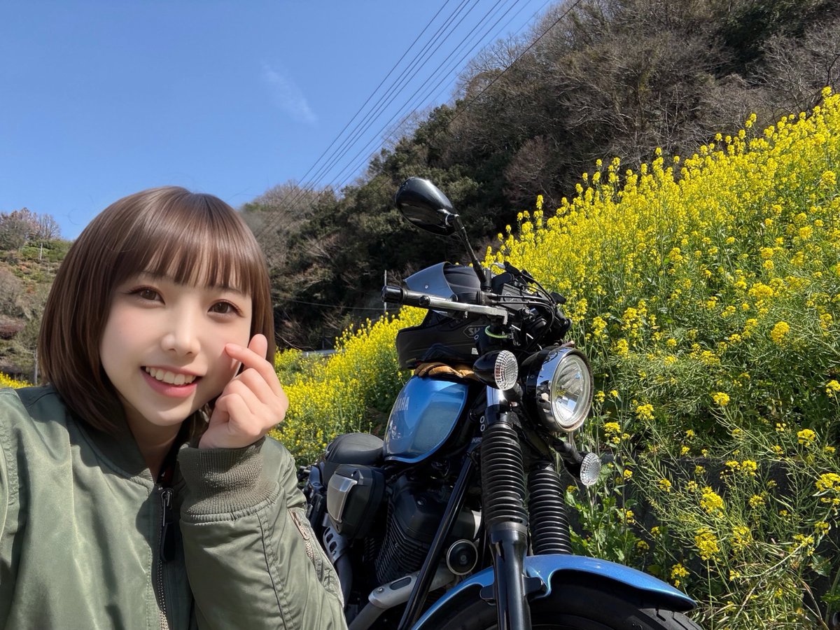 まる。 tweet media