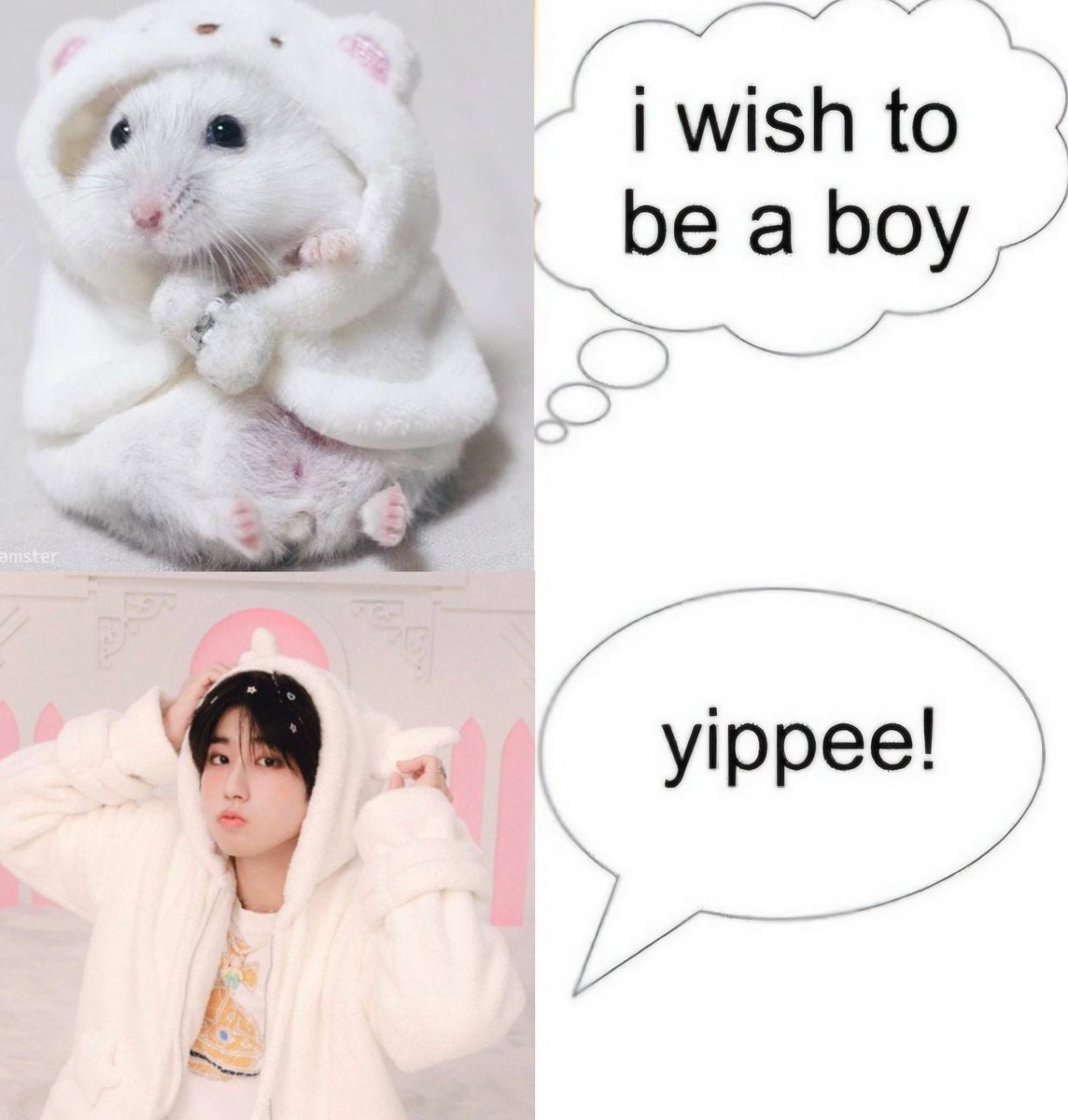 hunny_bean_miso's tweet photo. https://t.co/CWohl6RcNv