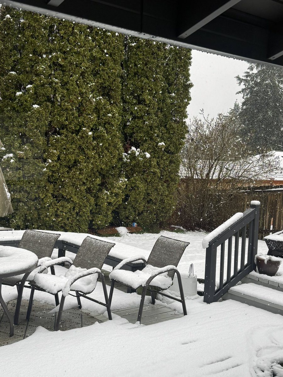Nate_B_Spot's tweet photo. @ShannonODKOMO Still snowing in SE Bellevue, almost back to 32 degrees. https://t.co/8i2s2hFQ33