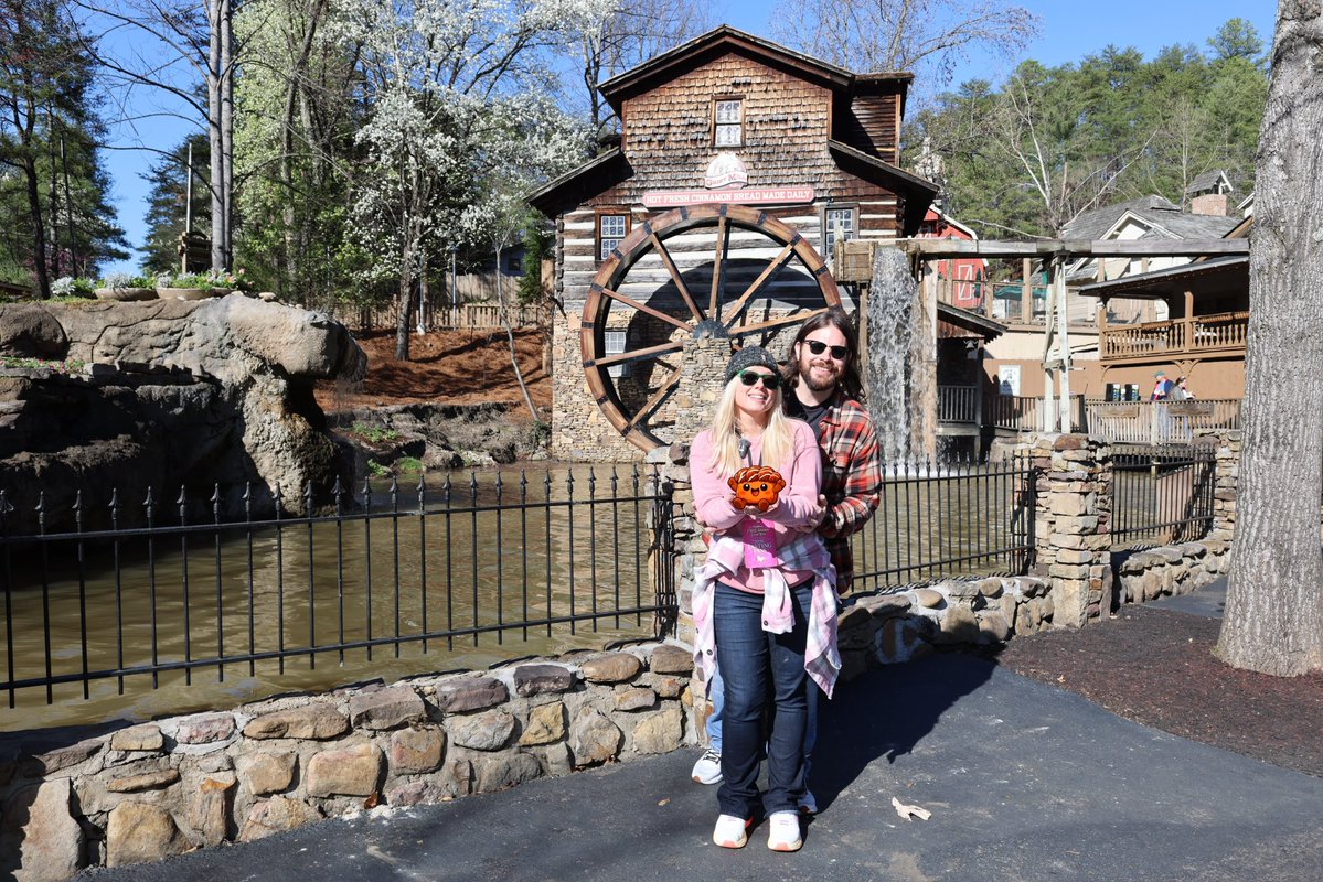 Expedition Theme Park tweet media