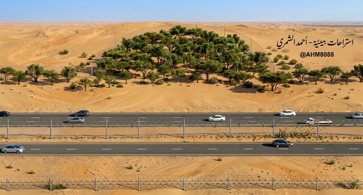 ³⁶ ا لــحــربــي ⓯ tweet media