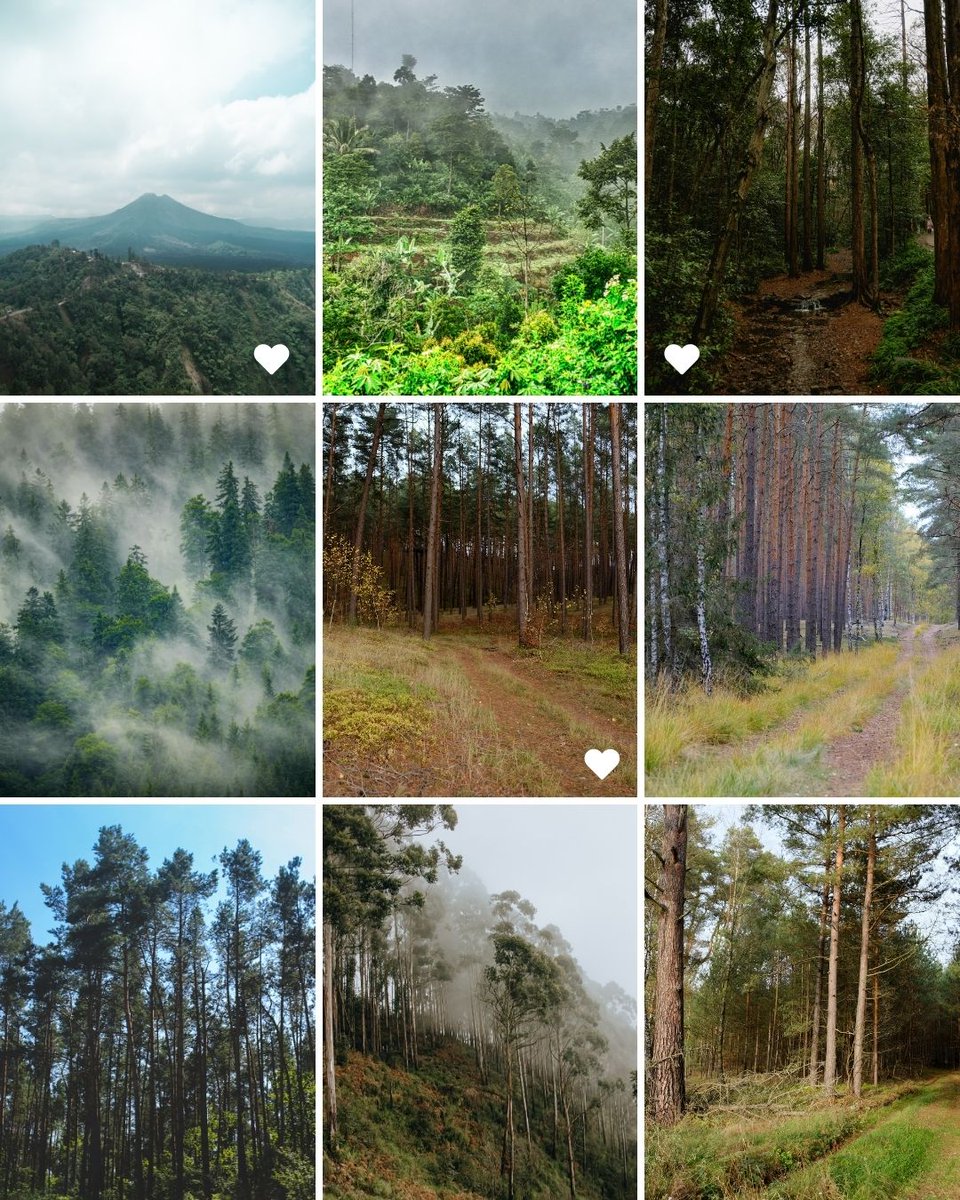 ICLEI - México, Centroamérica y el Caribe tweet media