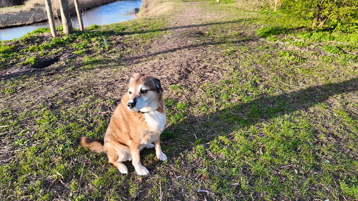 Emile van Aelst tweet media