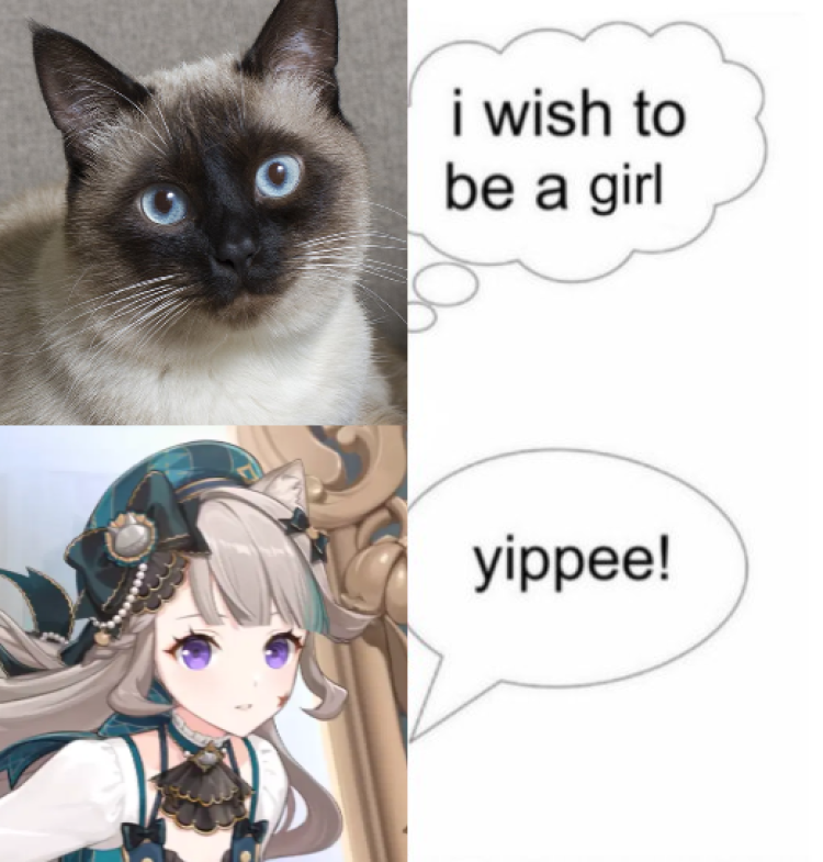 maia ღ tweet media