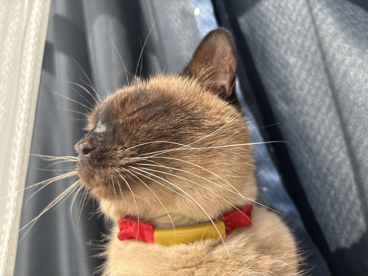 𝑪𝒉𝒍𝒐𝒆 tweet media