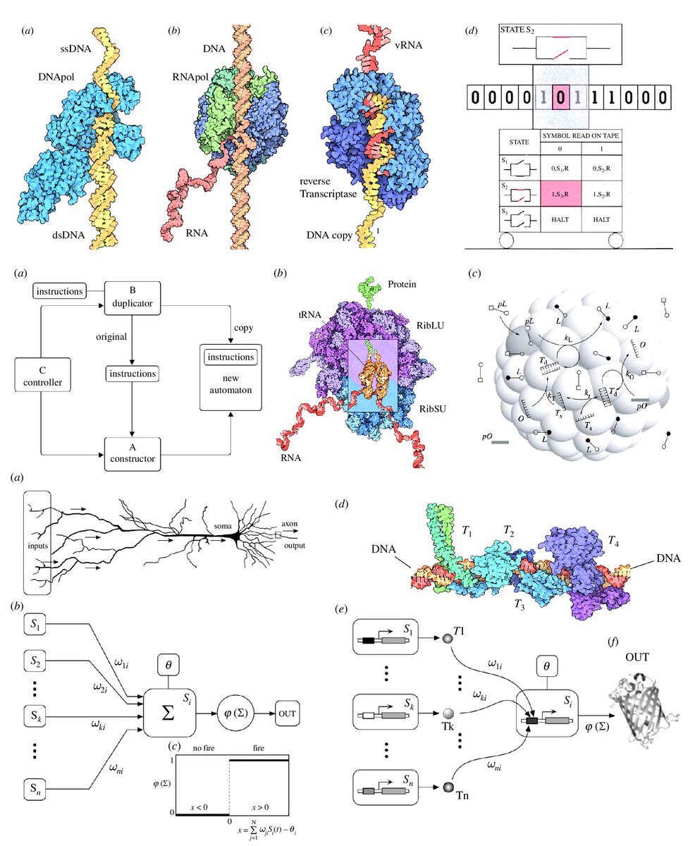 Logan Thrasher Collins tweet media