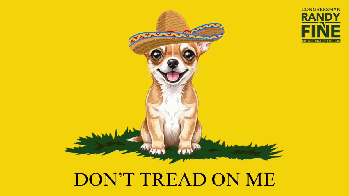 Congressman Randy Fine tweet media