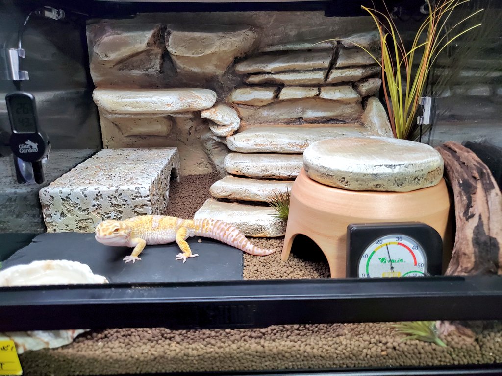 ヒナタ tweet media