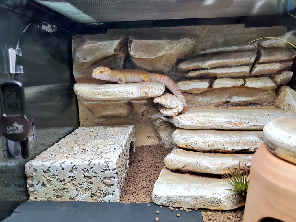 ヒナタ tweet media