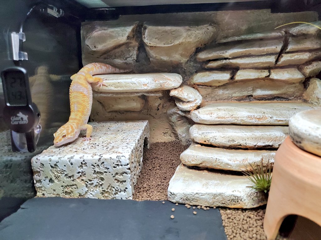 ヒナタ tweet media