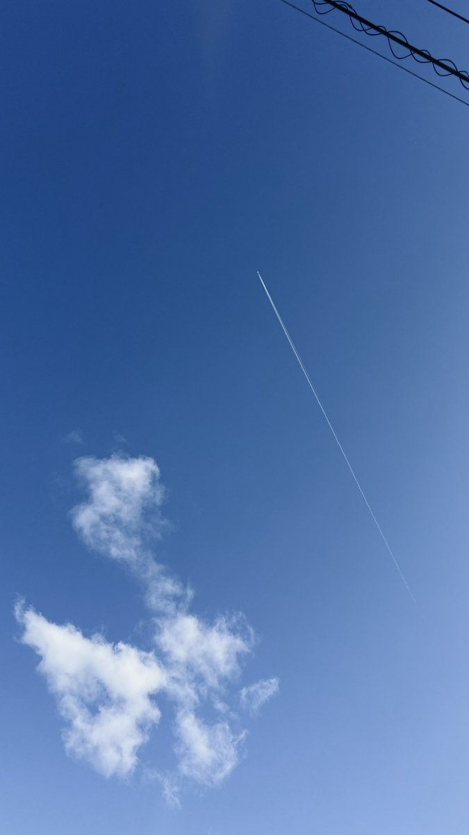 亀仙人 MutenRoshi tweet media