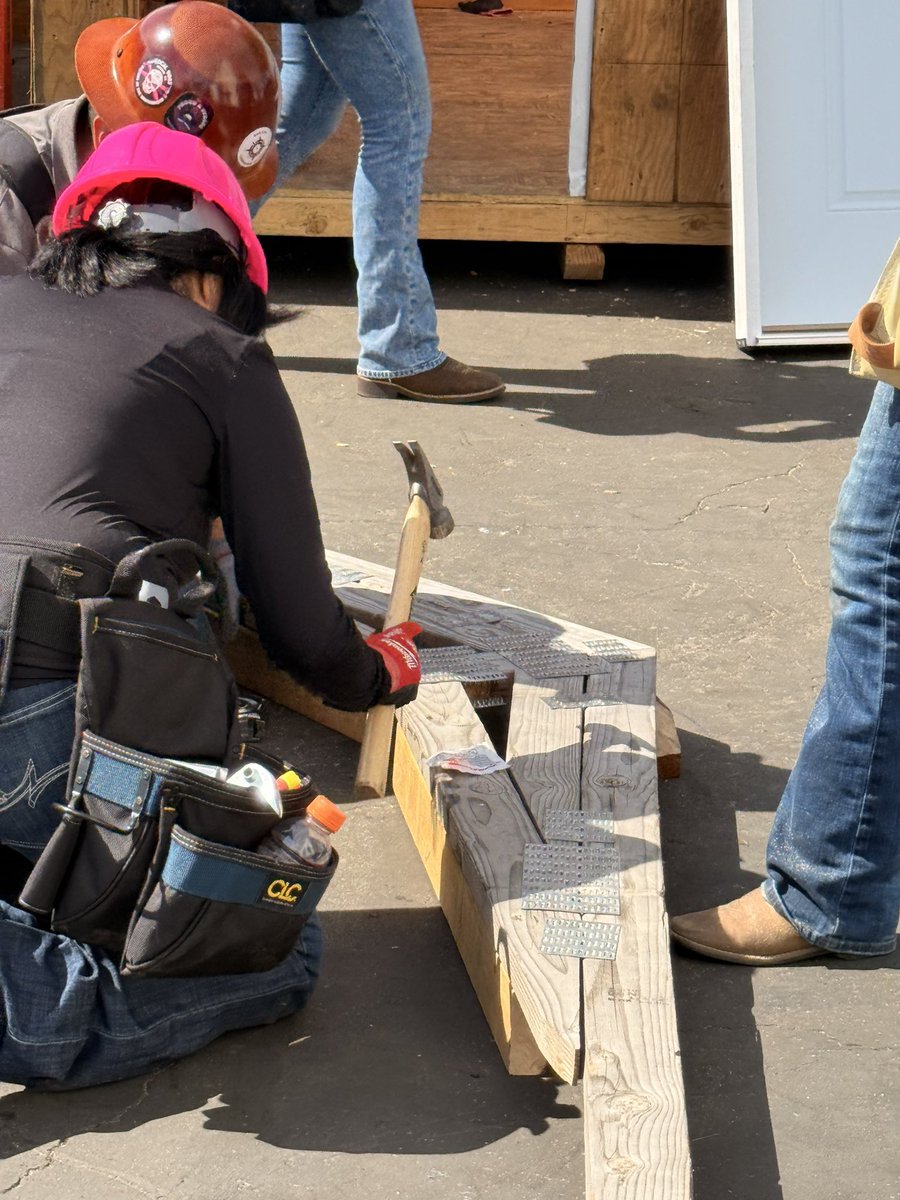 CHS HORNED TOADS tweet media