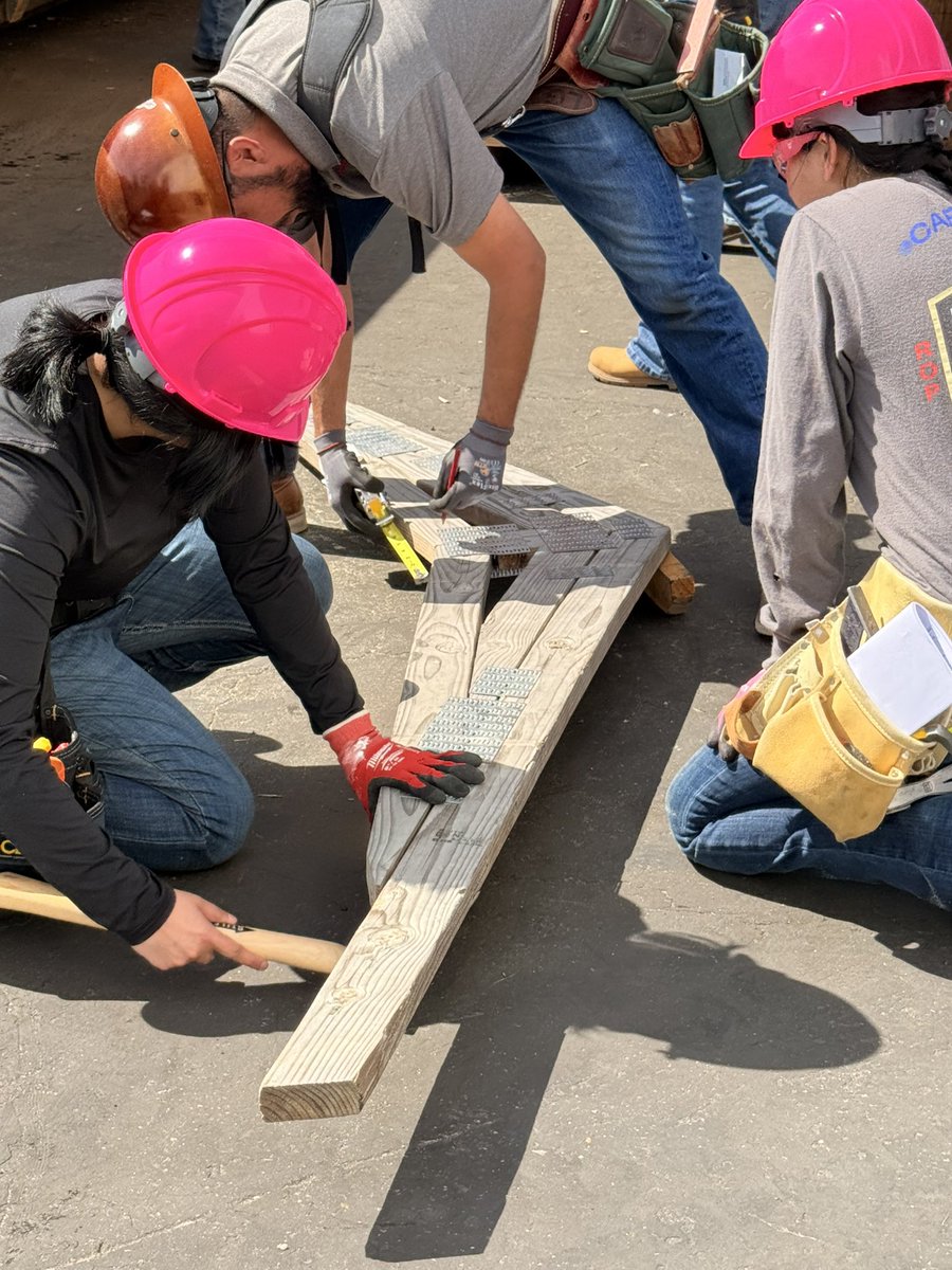 CHS HORNED TOADS tweet media