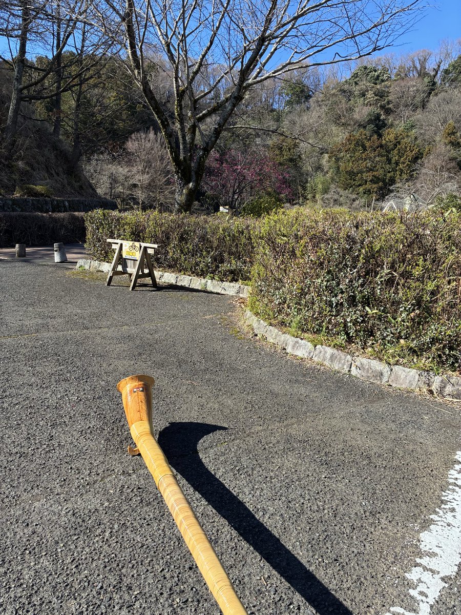 rs_hima's tweet photo. 朝練A s管練習 https://t.co/0AgBejx3x3