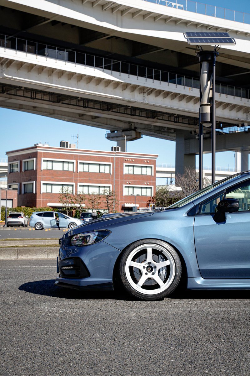 ふくちゃん🦭（329WORKS） tweet media