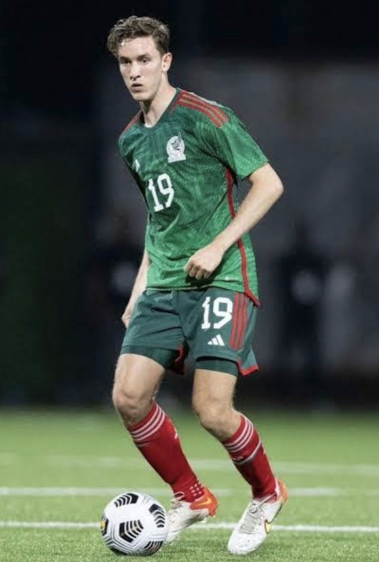 GallosTV tweet media