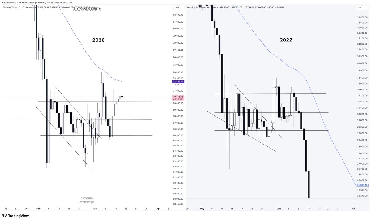 ₿lackwidow 🕷 tweet media