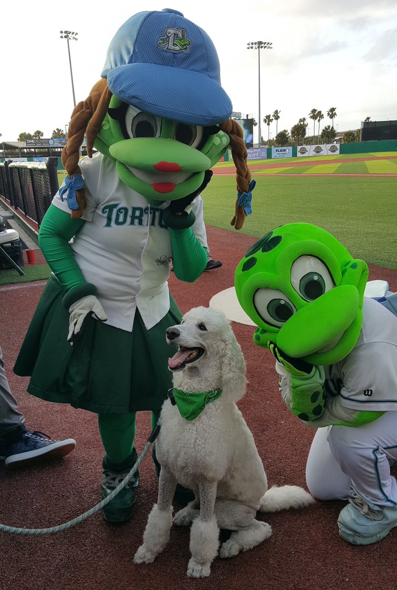 Tribute to BaseballPoodle tweet media