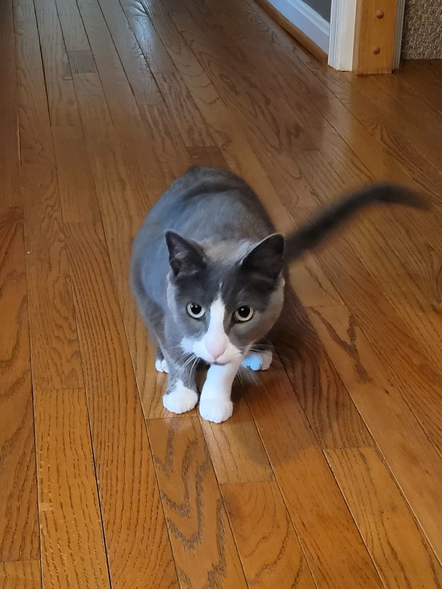 Reachdat tweet media