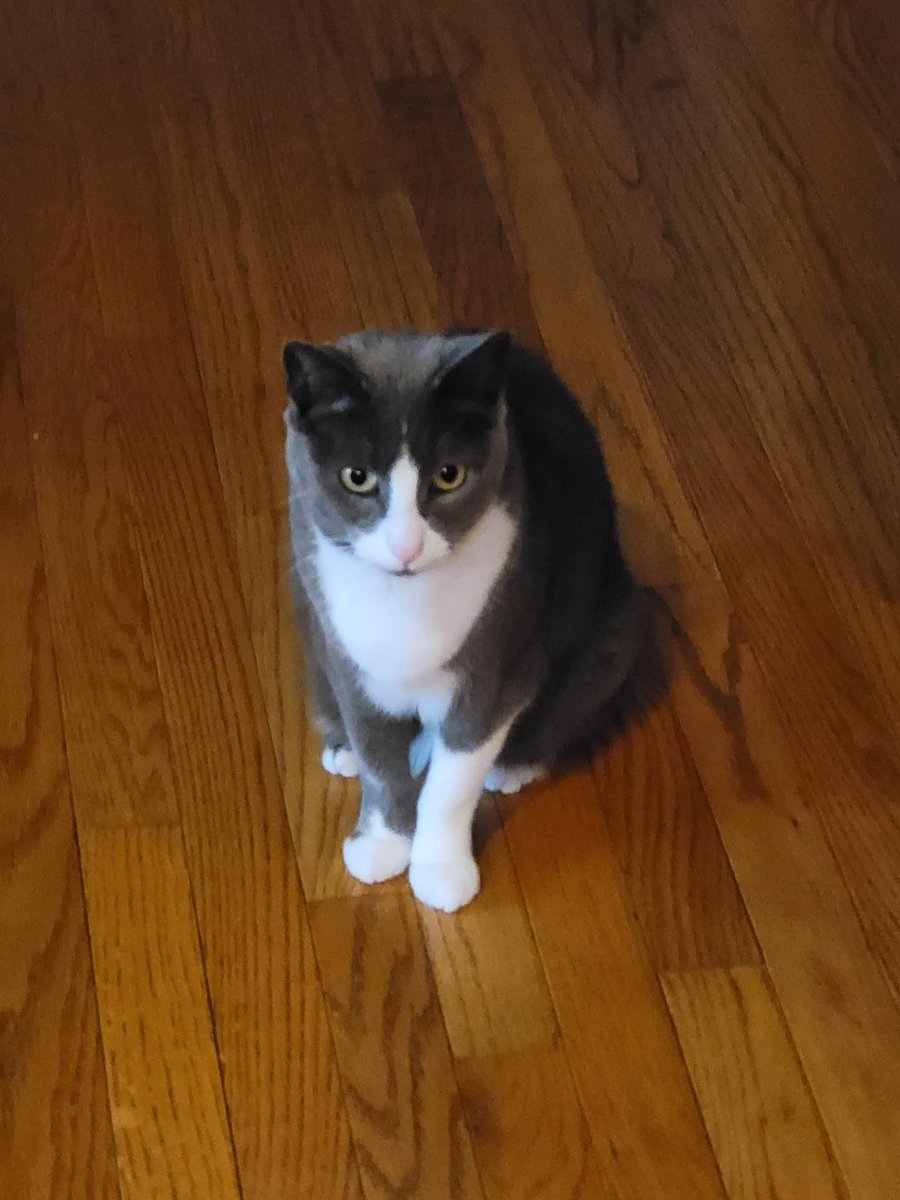 Reachdat tweet media