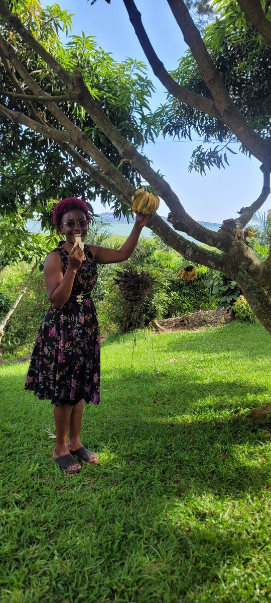 Yvonne Mpanga tweet media