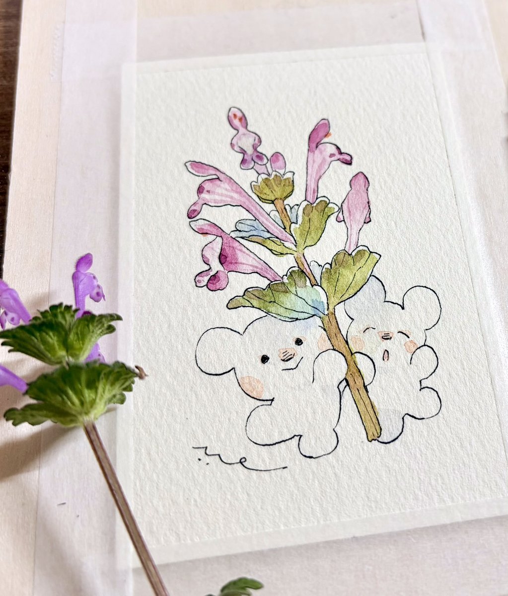 miyutaeokiba's tweet photo. 野花のぬりえ（ホトケノザ）

・線画は個人利用の範囲でご自由にダウンロード、印刷してお楽しみ頂けます☺ https://t.co/Jll8ztPkKU