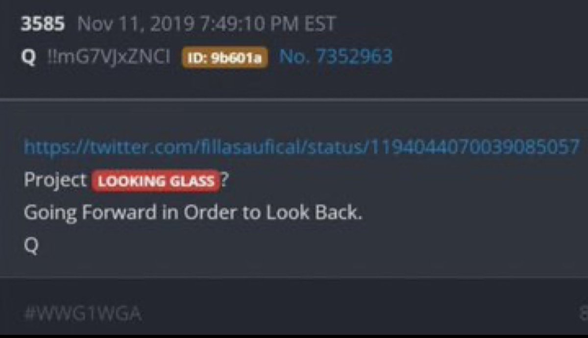 meganheat's tweet image. #LookingGlass
#GoingForwardInOrderToLookBack
#wwg1wga