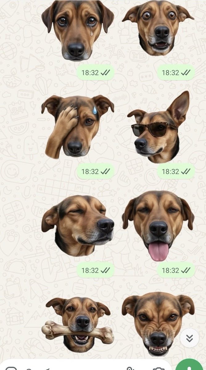 RefugiOceaniCAN's tweet photo. Amigooos les tengo una super noticia!!!
Hemos creado un producto nuevo y fantástico para todos nuestros amigos que aman a sus perritos, gatitos o cualquier animalito de compañía!!
Con su compra nos ayudan a ayudar de mejor manera!!
Miren, ustedes envían la foto de su peludo! Y su paguito de 200 pesos al whats app +52 56 6527 3780 y nosotras nos ponemos a chambear con mucho amor!!!
Graaaaacias amigos por difundir y ayudarnos a tener más recursos para ayudarles mejor. 

Les agradecemos infinito su apoyo.
🙏🏼🐾🐾
BBVA: 2973843610
Clabe 012180029738436107
tarjeta 4152 3142 3557 3543
(depósitos en oxxo)
O
Azteca 
5512 3823 1364 0437 
clabe
127180013445630838 
O
Banorte
Cta 1325214873
Clabe 072180013252156100
Tarjeta 5264 2468 3020 4607
a nombre de Areli
https://t.co/1pRdLdajHz: https://t.co/CmmanDp8o8
millones de gracias y bendiciones!!!
Todo suma🙏🏼💜🐾🐾