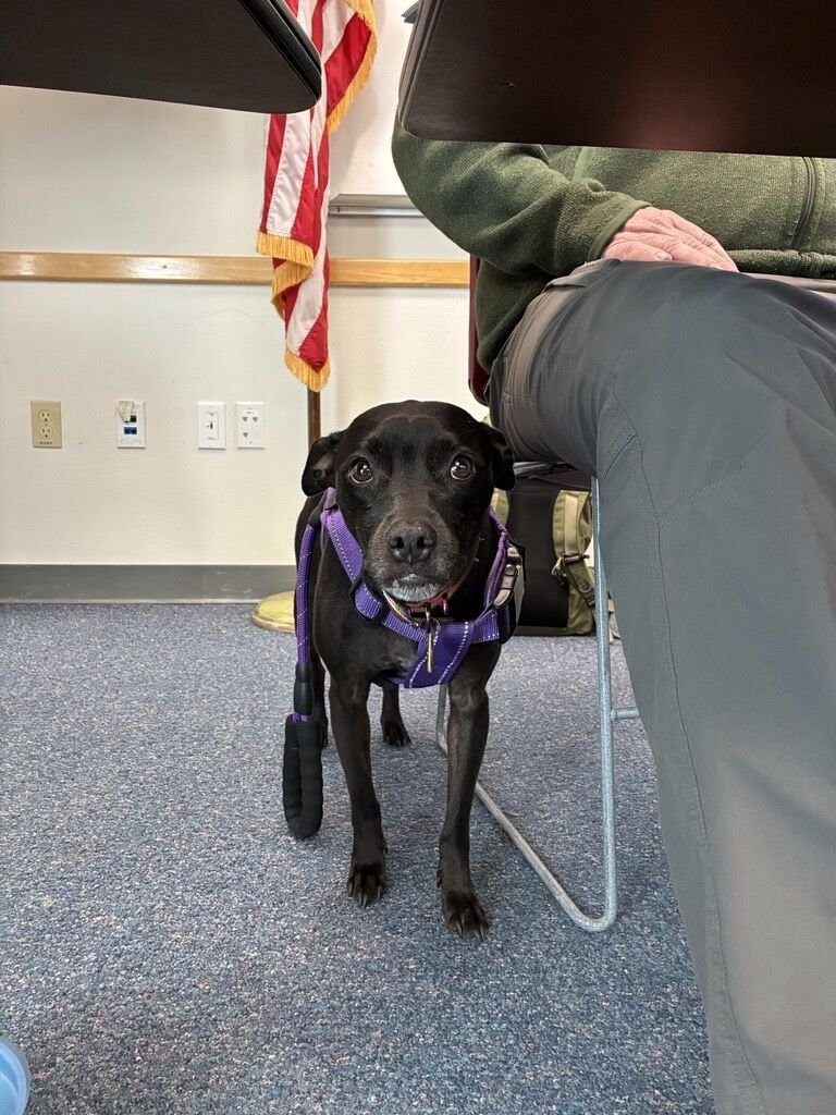 OregonOEM tweet media