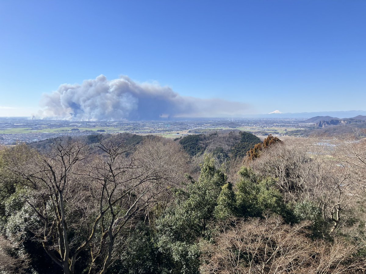 halzoo's tweet photo. 今日は渡良瀬遊水地のヨシ焼き（野焼き）
北よりの風なので南の地区は注意 https://t.co/2aHCOPghQX