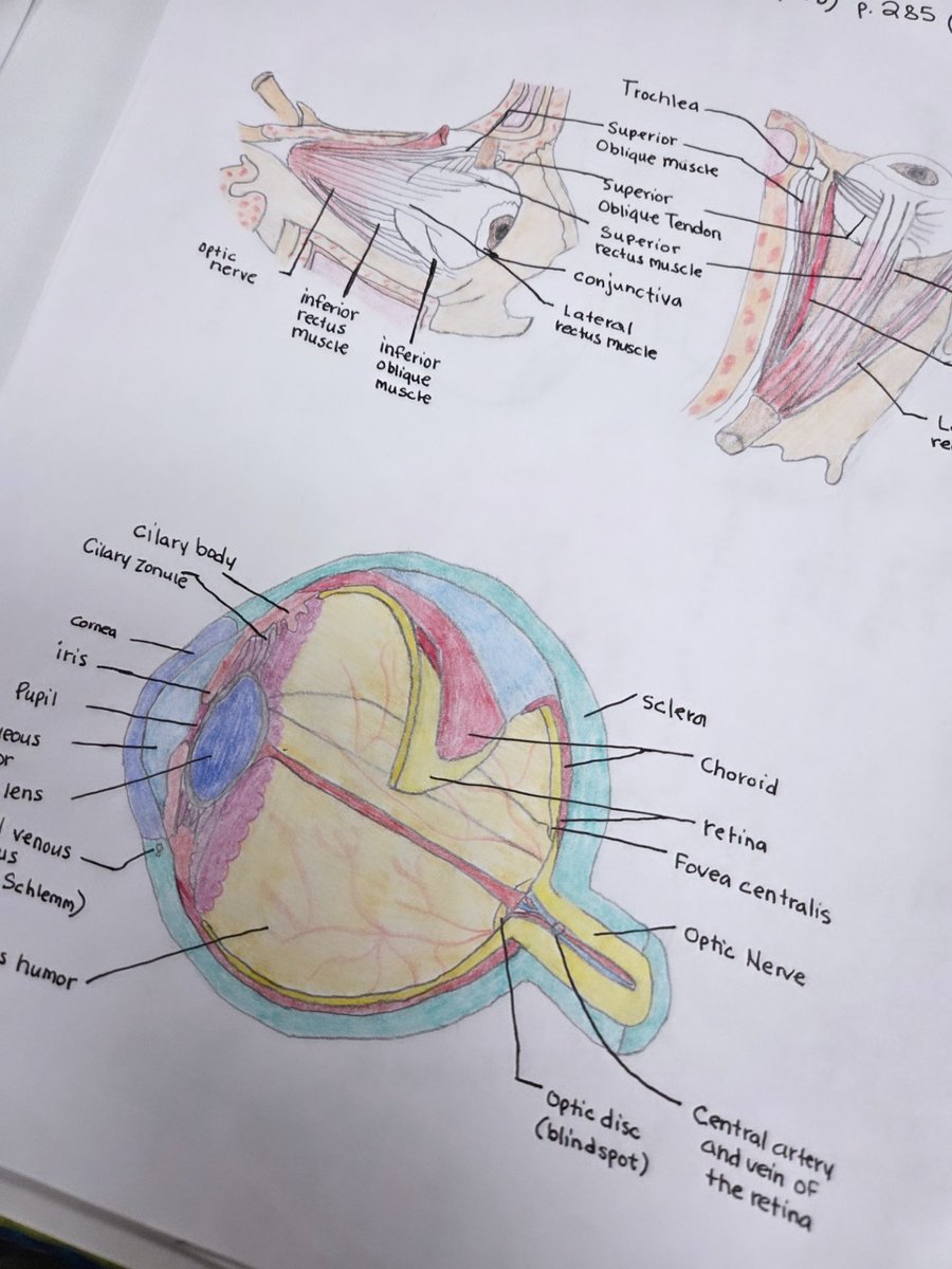 EHS Life Sciences - Rachel Hauck tweet media