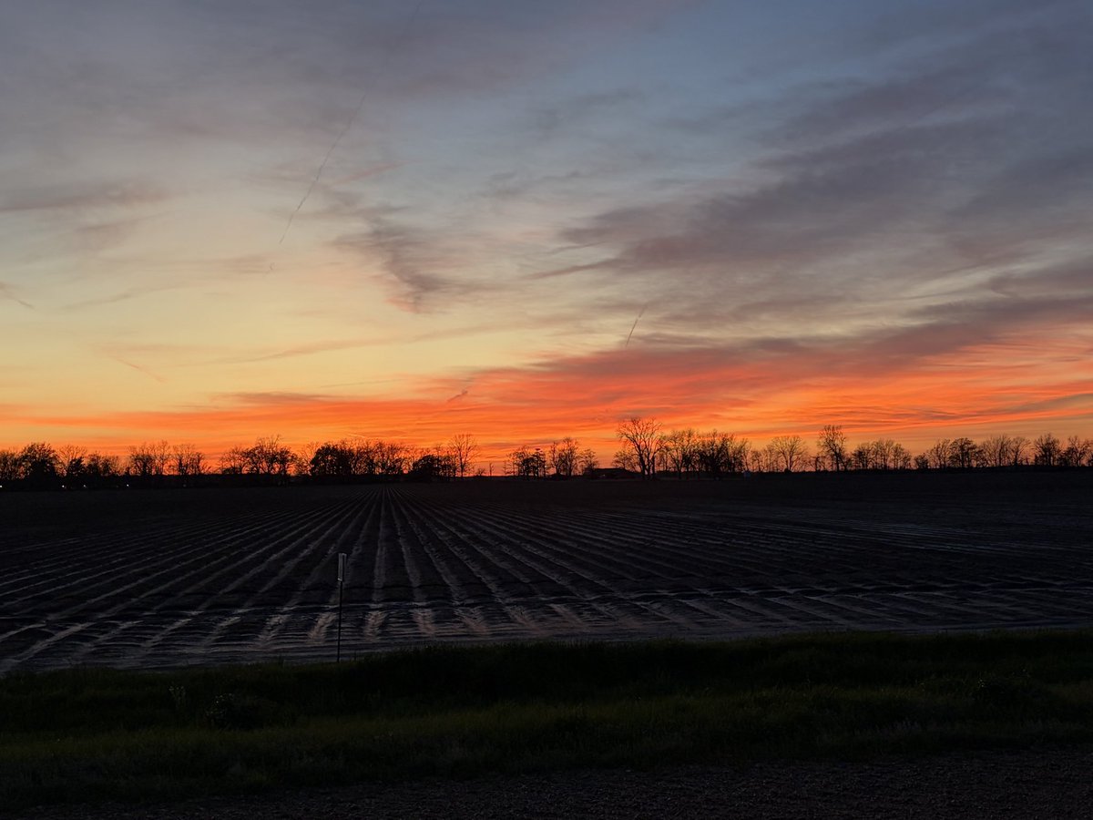 Tom Allen tweet media