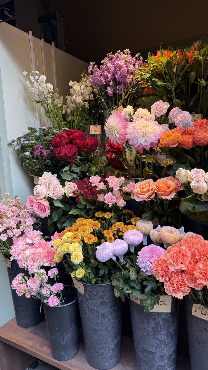 yo3uyan's tweet photo. 大阪駅でおすすめのお花屋さん🪷
店員のお姉さんがとっても優しくて、
2500円程でこんなにも素敵なブーケを用意してくださった💐✨️
10~15分ほどで完成してくれて、急いでたからとっても助かった😿🫶🏻
プレゼントしたお友だちも喜んでくれて大満足✨今後もお世話になる予定💖 https://t.co/DMctTjISJW