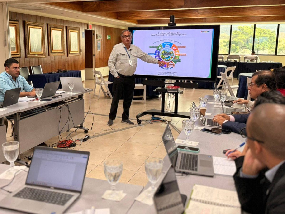 CCAD-SICA tweet media