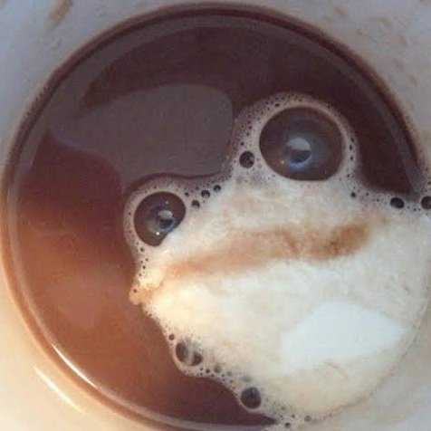 The notorius V.O.G ™ tweet media