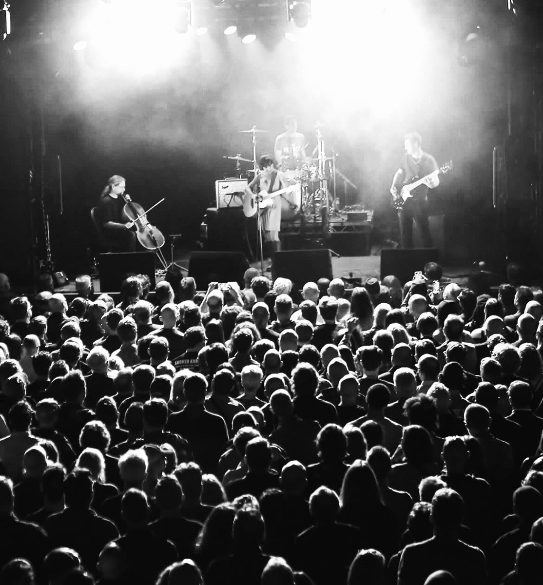 Throwing Muses tweet media