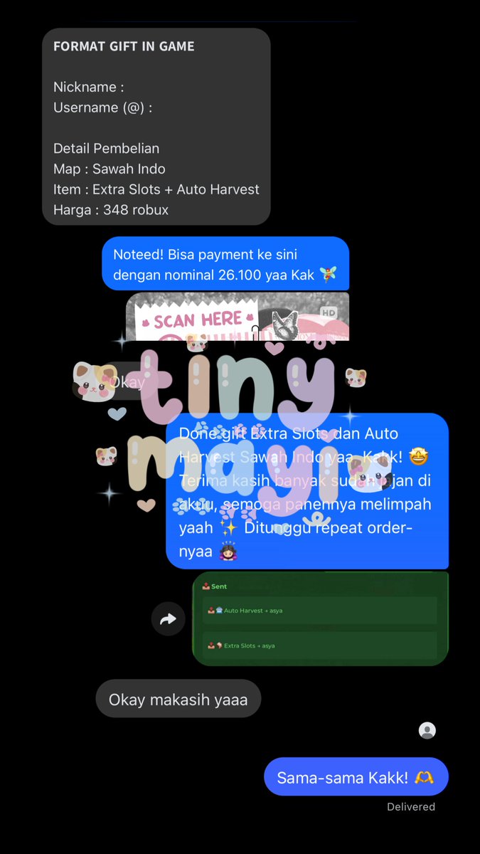 Mayisha, @ after dm tweet media